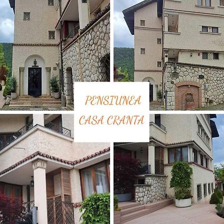 Pensiunea Casa Cranta Brașov Exterior foto